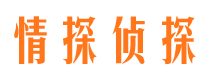 青铜峡市场调查